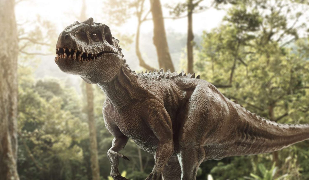 Discovery in India reveals intimate details about lives of some of the largest dinosaurs